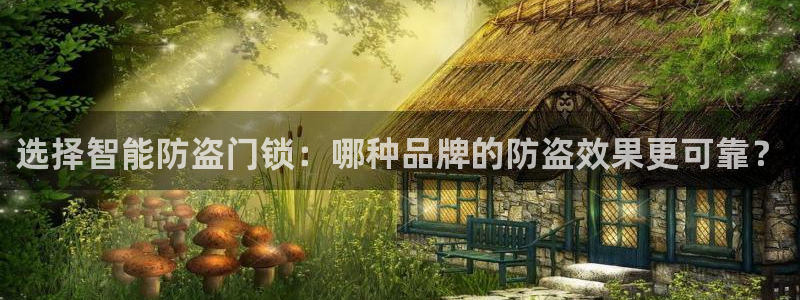 开丰娱乐线路：选择智能防盗门锁：哪种品牌的防盗效果更可靠？