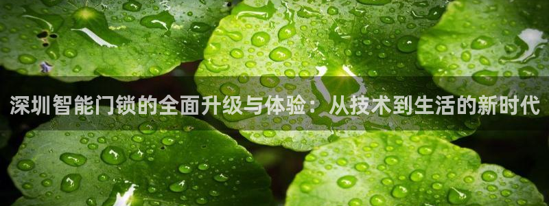 开丰娱乐官网最新消息：深圳智能门锁的全面升级与体验：从技术到