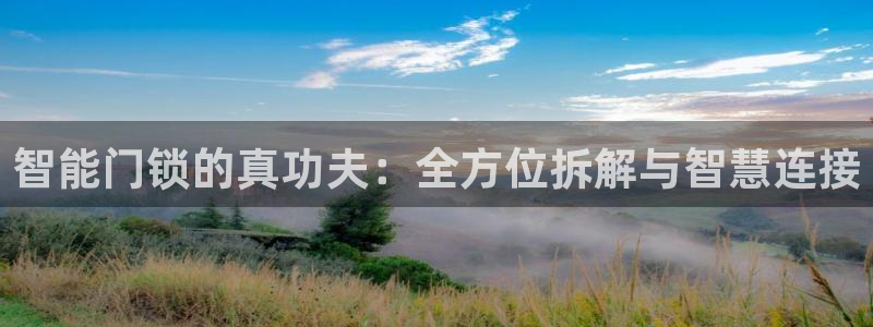 开丰娱乐登入地址在哪儿：智能门锁的真功夫：全方位拆解与智慧连