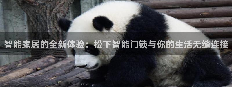 开丰娱乐后：智能家居的全新体验：松下智能门锁与你的生活无缝连