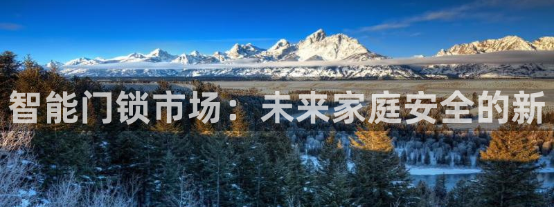 开丰娱乐测速：智能门锁市场：未来家庭安全的新