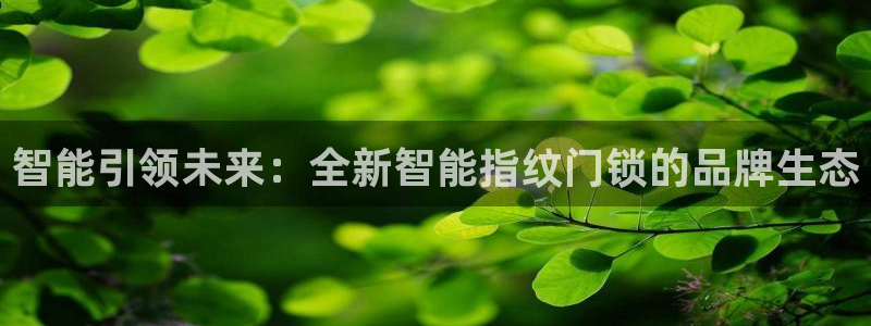 圩丰刚开的娱乐场所：智能引领未来：全新智能指纹门锁的品牌生态
