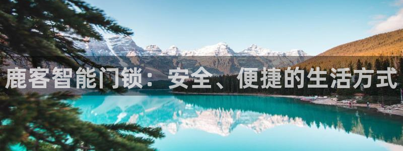 开丰娱乐科技：鹿客智能门锁：安全、便捷的生活方式