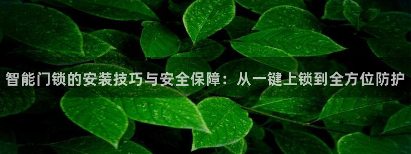 开丰娱乐官网平台电话：智能门锁的安装技巧与安全保障：从一键上