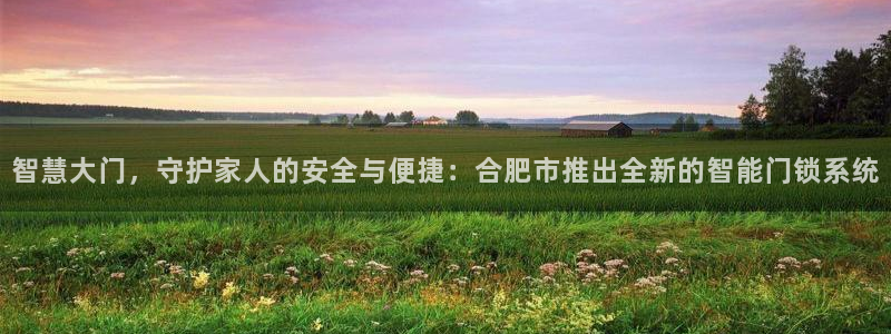 开丰娱乐下载安装：智慧大门，守护家人的安全与便捷：合肥市推出