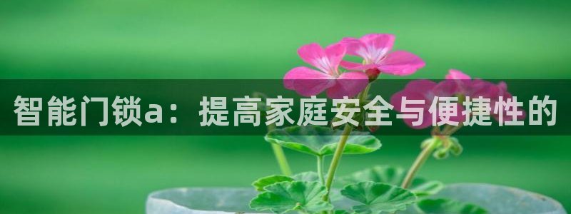 开丰娱乐主管家去判官333OO：智能门锁a：提高家庭安全与便