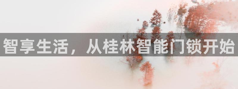 开丰娱乐登录地址入口：智享生活，从桂林智能门锁开始