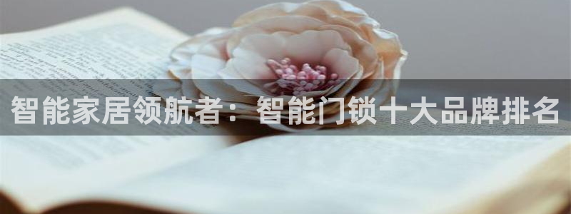 开丰娱乐官网登录网址：智能家居领航者：智能门锁十大品牌排名