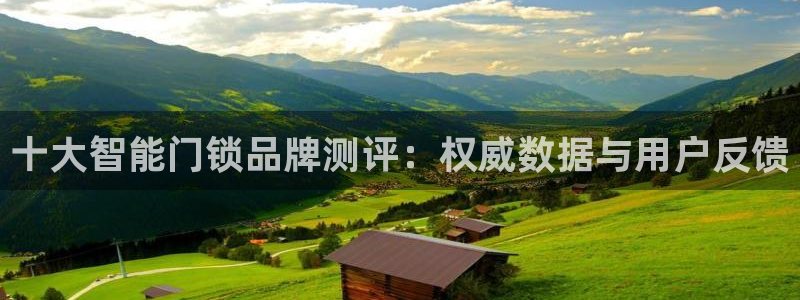 开丰娱乐违法吗：十大智能门锁品牌测评：权威数据与用户反馈