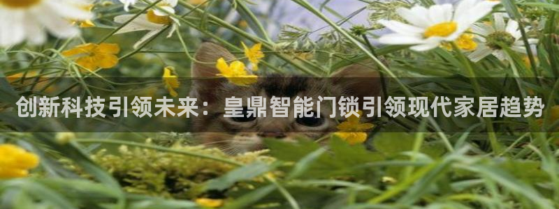 开丰娱乐：创新科技引领未来：皇鼎智能门锁引领现代家居趋势