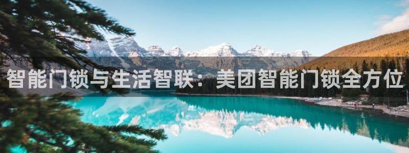 开丰娱乐网站官网入口：智能门锁与生活智联：美团智能门锁全方位