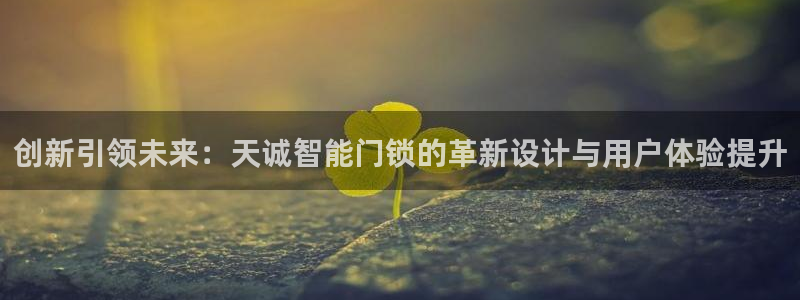 开丰娱乐前：创新引领未来：天诚智能门锁的革新设计与用户体验提