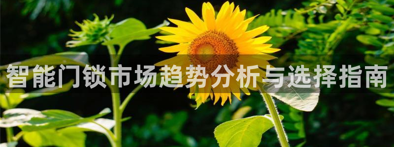 开丰娱乐不开了吗：智能门锁市场趋势分析与选择指南