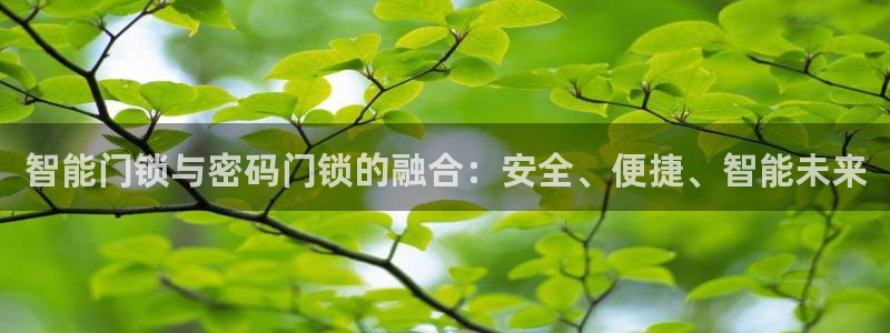 开丰娱乐网站官网下载：智能门锁与密码门锁的融合：安全、便捷、