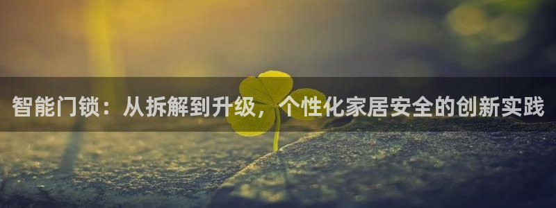 开丰娱乐主管家去判官333OO：智能门锁：从拆解到升级，个性