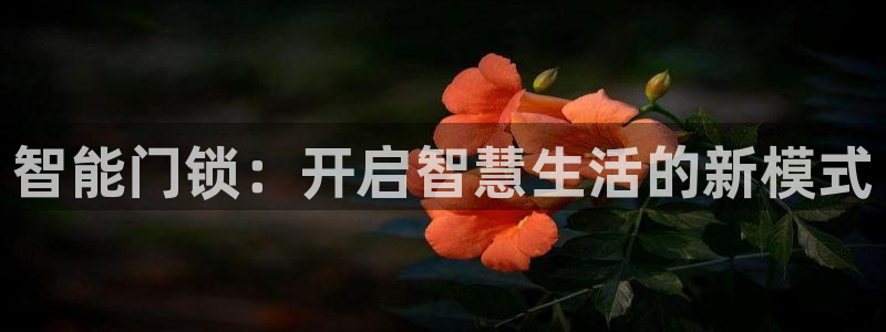 开丰娱乐网址：智能门锁：开启智慧生活的新模式