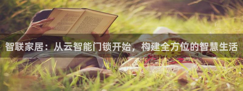 开丰娱乐左：智联家居：从云智能门锁开始，构建全方位的智慧生活