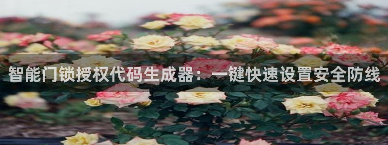开丰娱乐登录平台：智能门锁授权代码生成器：一键快速设置安全防