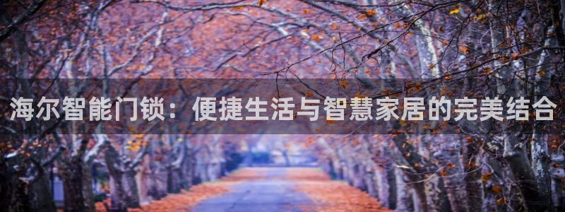 开丰娱乐平台注册：海尔智能门锁：便捷生活与智慧家居的完美结合