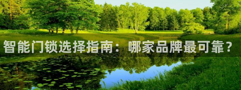 开丰娱乐优七九九47：智能门锁选择指南：哪家品牌最可靠？