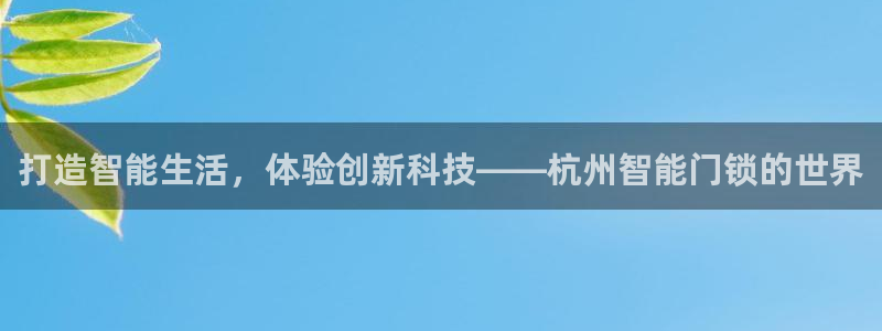 开丰娱乐官网首页：打造智能生活，体验创新科技——杭州智能门锁