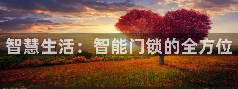 开丰娱乐登入地址在哪查：智慧生活：智能门锁的全方位