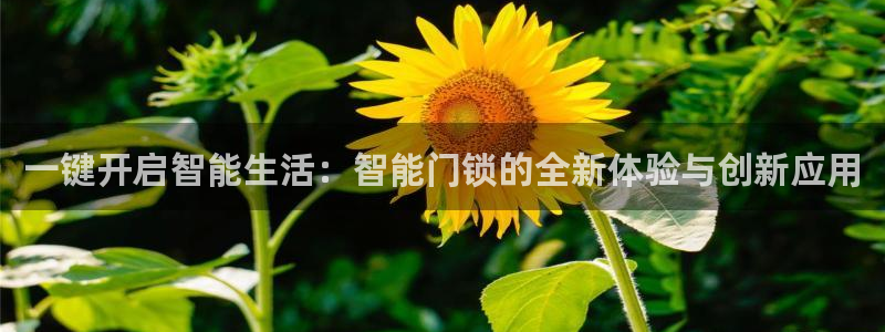 开丰娱乐会员中心：一键开启智能生活：智能门锁的全新体验与创新