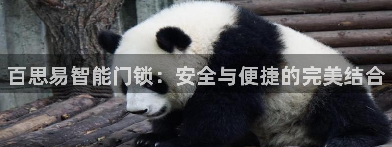 开丰娱乐趣 7O935：百思易智能门锁：安全与便捷的完美结合