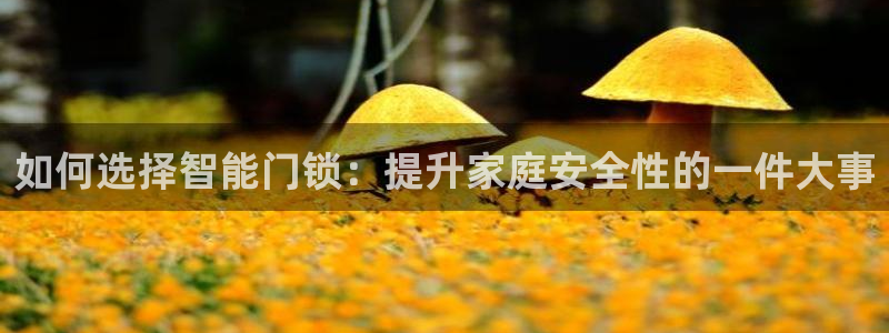 开丰娱乐靠谱吗：如何选择智能门锁：提升家庭安全性的一件大事