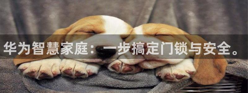 开丰娱乐姜333OO：华为智慧家庭：一步搞定门锁与安全。