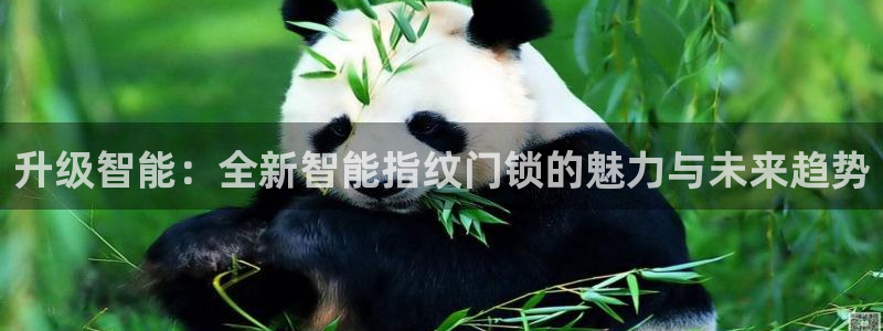 开丰娱乐趣 7O935