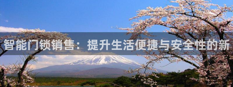 开丰娱乐联系q徽22212：智能门锁销售：提升生活便捷与安全