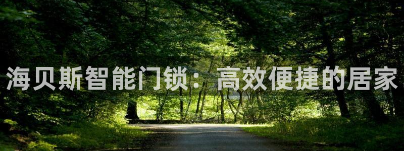 开丰娱乐日7O667：海贝斯智能门锁：高效便捷的居家