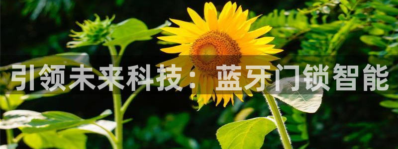 开丰娱乐官网登录平台：引领未来科技：蓝牙门锁智能