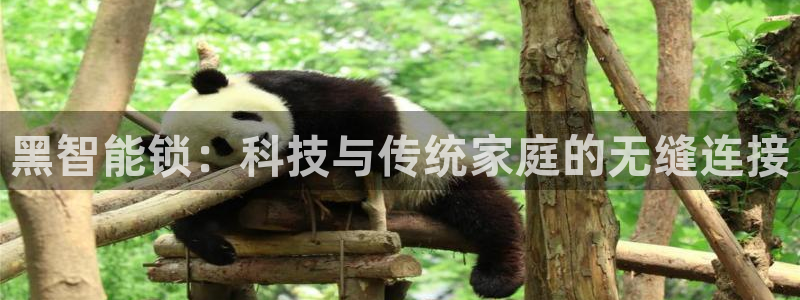 开丰娱乐天7O667：黑智能锁：科技与传统家庭的无缝连接