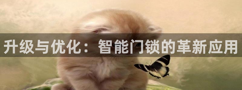 开丰娱乐网站官网入口：升级与优化：智能门锁的革新应用