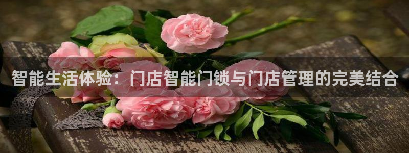 开丰娱乐2登录：智能生活体验：门店智能门锁与门店管理的完美结