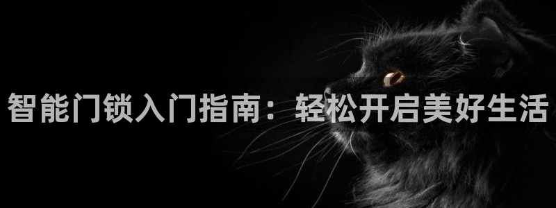 开丰娱乐官网电话：智能门锁入门指南：轻松开启美好生活
