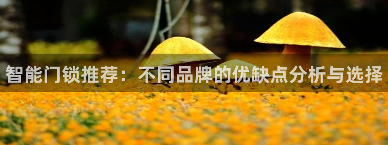 开丰娱乐登入地址查询：智能门锁推荐：不同品牌的优缺点分析与选