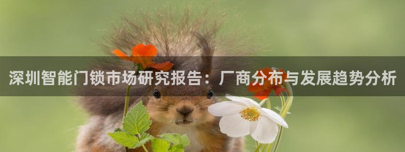 开丰娱乐平台：深圳智能门锁市场研究报告：厂商分布与发展趋势分