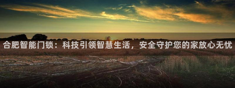 开丰娱乐平台提现失败：合肥智能门锁：科技引领智慧生活，安全守