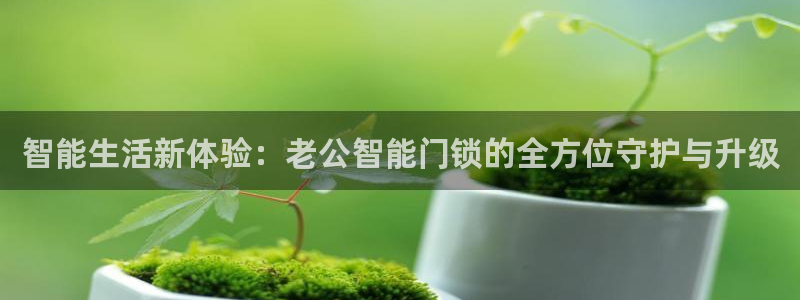 开丰娱乐登录注册：智能生活新体验：老公智能门锁的全方位守护与