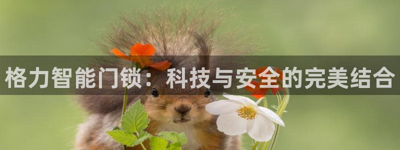 开丰娱乐除7O777：格力智能门锁：科技与安全的完美结合