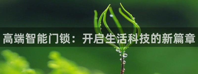 开丰娱乐平台官网登录：高端智能门锁：开启生活科技的新篇章