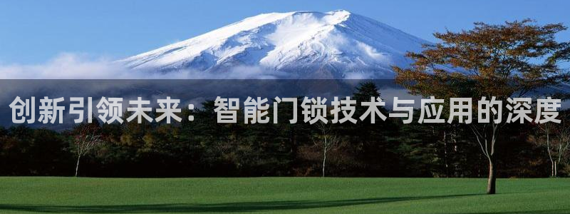 开丰娱乐官网最新消息：创新引领未来：智能门锁技术与应用的深度