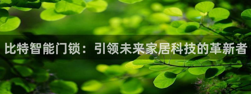 开丰娱乐官网首页：比特智能门锁：引领未来家居科技的革新者