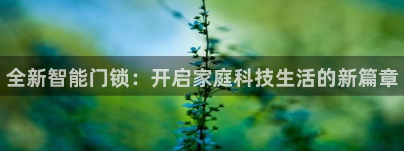 开丰娱乐靠谱吗：全新智能门锁：开启家庭科技生活的新篇章