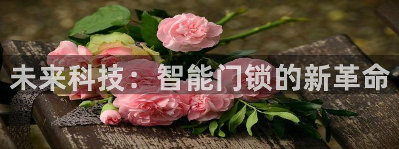开丰娱乐主管：未来科技：智能门锁的新革命