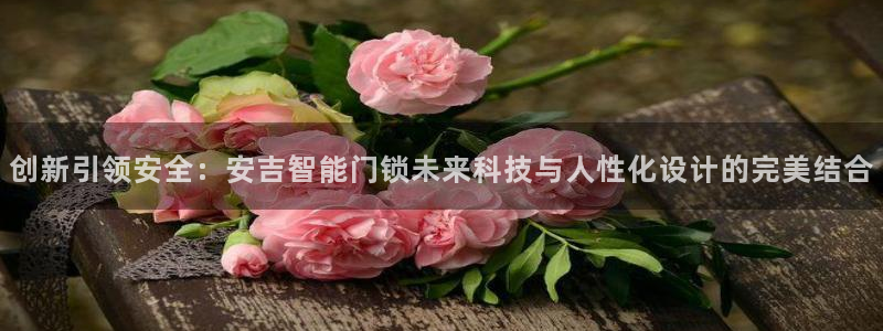 开丰娱乐巾67五壹叁八：创新引领安全：安吉智能门锁未来科技与