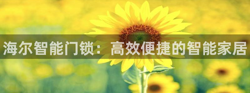 圩丰刚开的娱乐场所：海尔智能门锁：高效便捷的智能家居